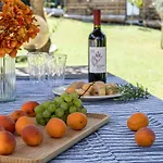 Italian Experience-la Pineta Homes Séjour à la campagne Monte Fabbri