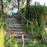 Italian Experience-la Pineta Homes Monte Fabbri