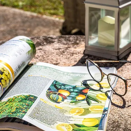 Italian Experience-la Pineta Homes Casa di campagna *