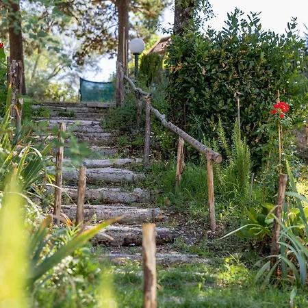 Italian Experience-la Pineta Homes Monte Fabbri